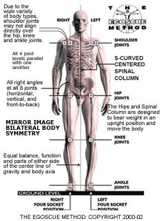 Posture Therapy, Egoscue, PTX